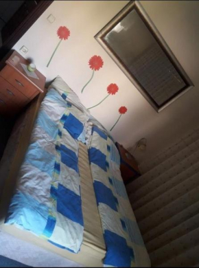 HASNUR APTS